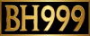 logo BH999 COM